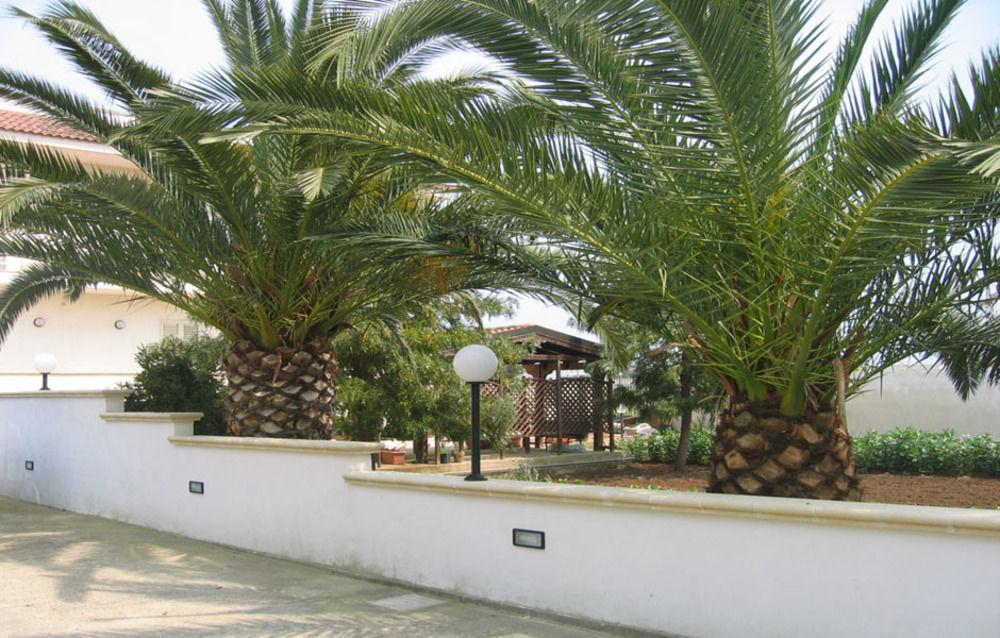 B&B Villa Teresa Lecce Eksteriør billede